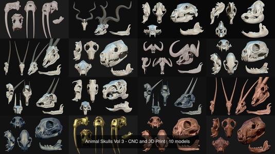 Animal Skulls Vol 3 – CNC and 3D Print 3D Model Collection