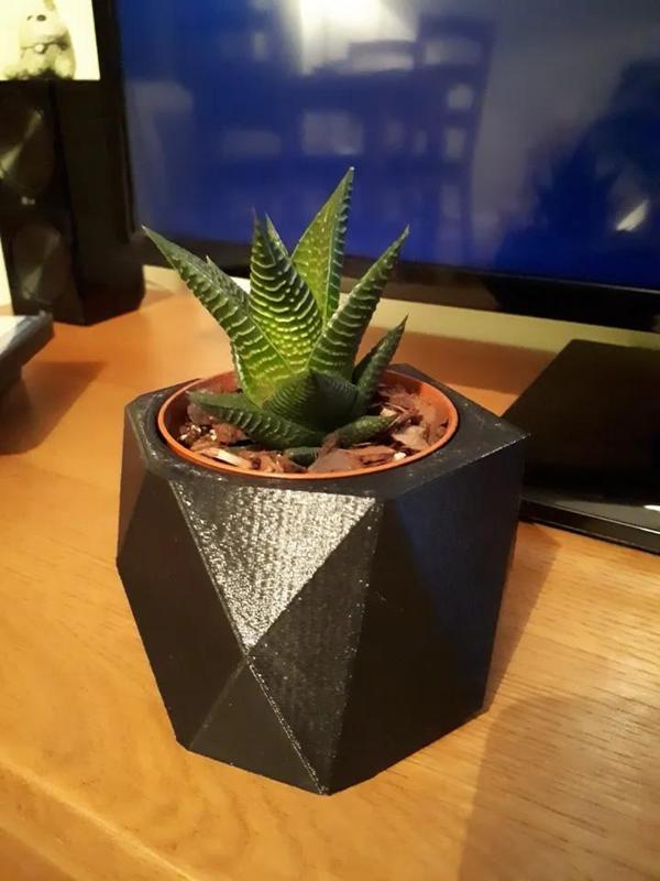 Low Poly Plant Pot