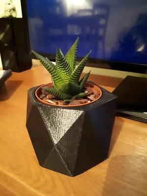 Low Poly Plant Pot