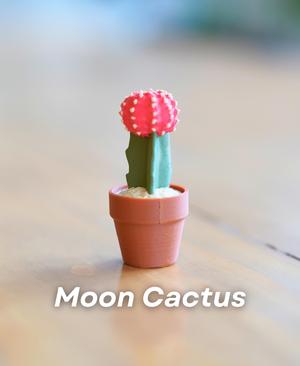 Clicky Cacti Pack 2 - Clicker Fidget Toy Cactus - Pocket Plants Collection