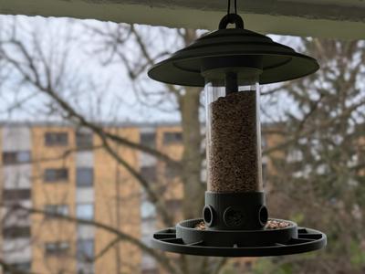 Bird Feeder