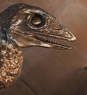 Feathered dinosaur head — velocirator — wall mounting