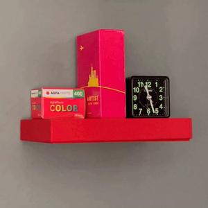 Hidden Compartment Wall Shelf