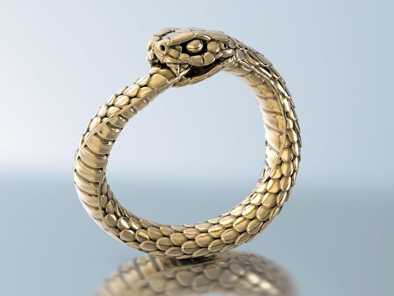 Ring Snake Ouroboros