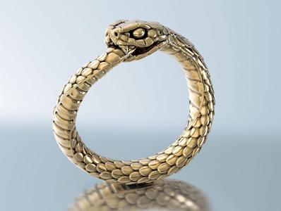 Ring Snake Ouroboros