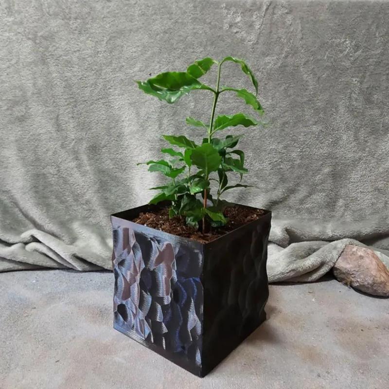 Square Vase Planter – Obsidian Style