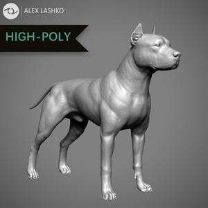 Pitbull High-Poly pit bull dog
