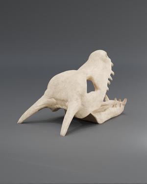 #Throwback Charizard Skull Dice Tower