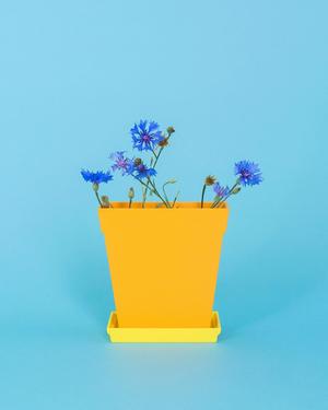 Flatland // Classic Pot