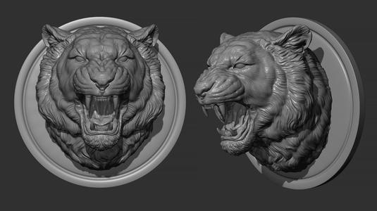 Tiger grin roar