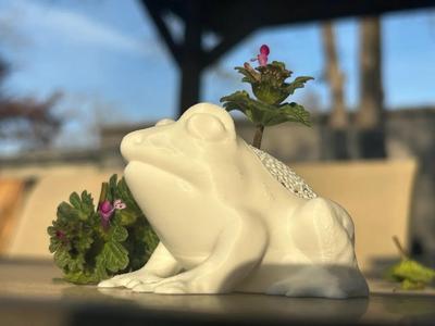 Enchanting Frog Planter: Nature-Inspired Voronoi Elegance