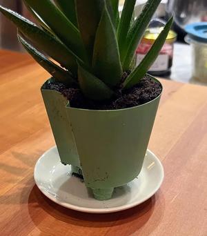 Parametric Self Watering Pot Insert