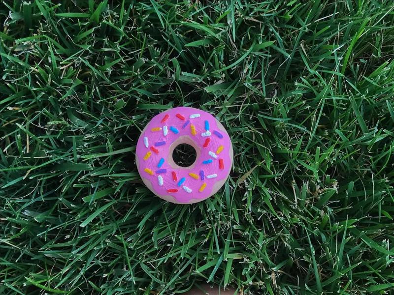 cute doughnut