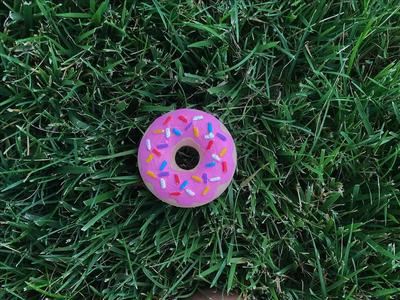 cute doughnut