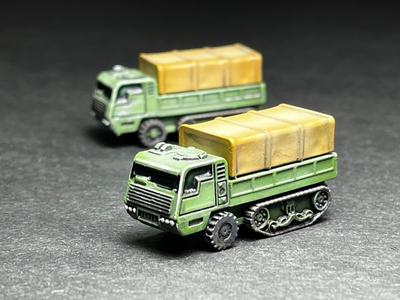 Halftrack with removable canopy and container
