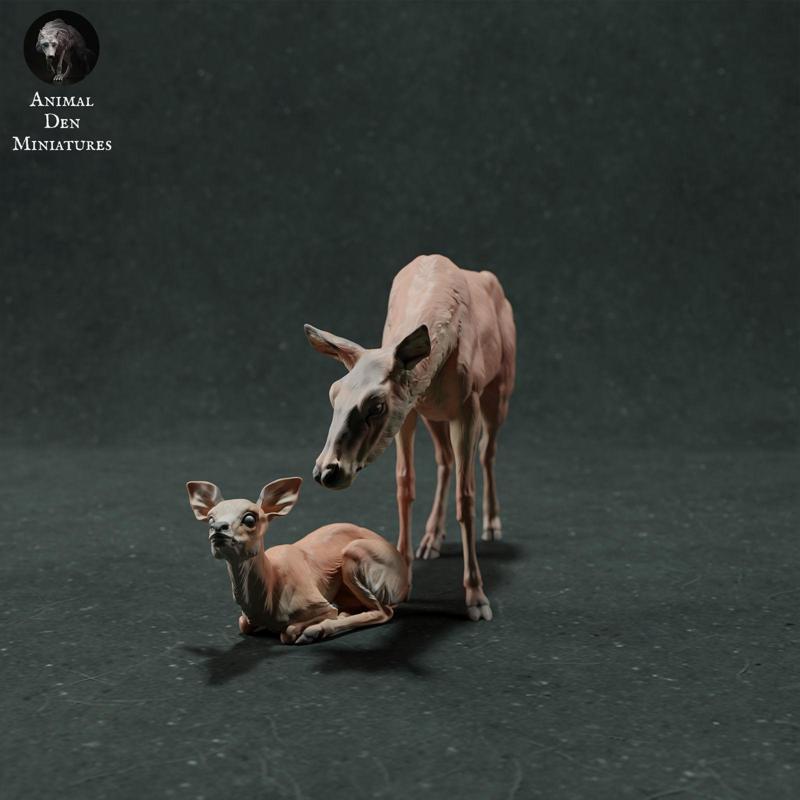 Red Deer Hind and Fawn