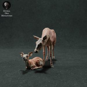 Red Deer Hind and Fawn