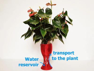 Self Watering Anti-Gravity Planter