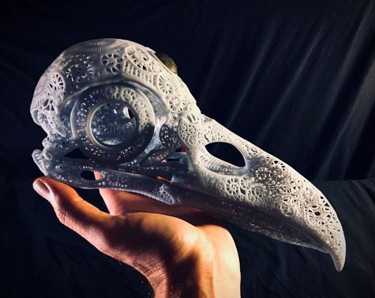 Filigree Anatomical Raven Skull – Pre-supported STL