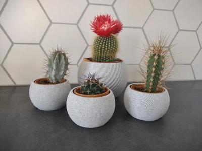 Vase for IKEA CACTACEAE