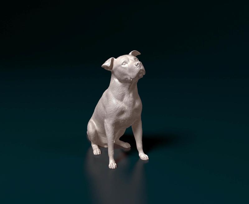 Pitbull 06