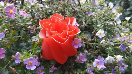 Vase Flower