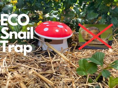 Mushroom Snail Trap   