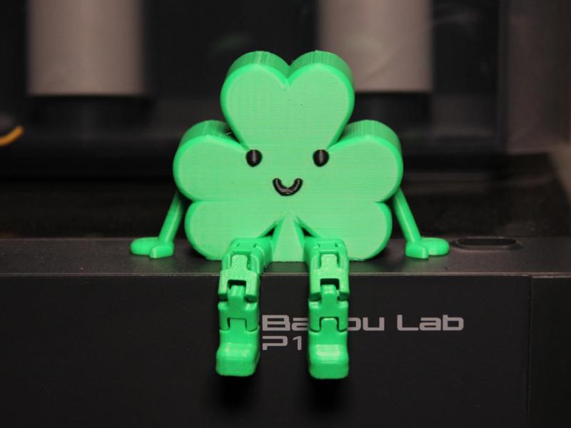 Shamrock Buddy – Flexi Buddy