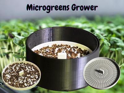 Microgreen Seed Sprouter
