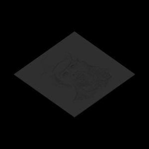 HueForge - Toby Keith - Grayscale