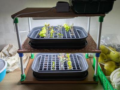 Seedling growth LED support