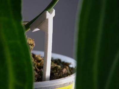 plant support stick
