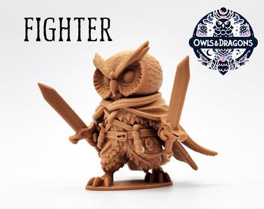 The Fighter - Owls & Dragons