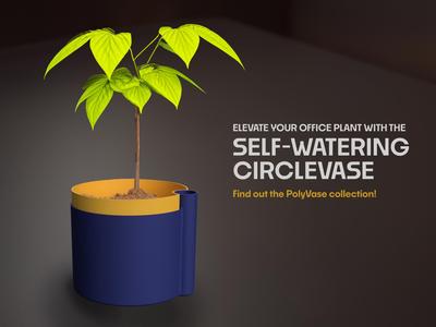Self -Watering CircleVase