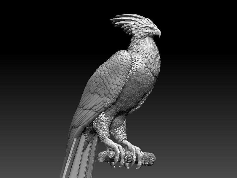 phoenix