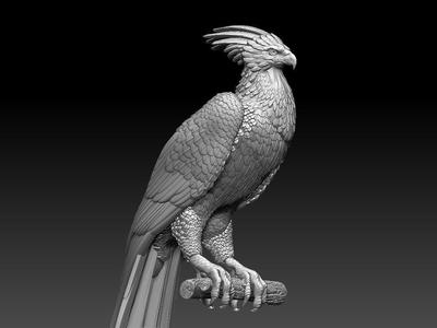 phoenix