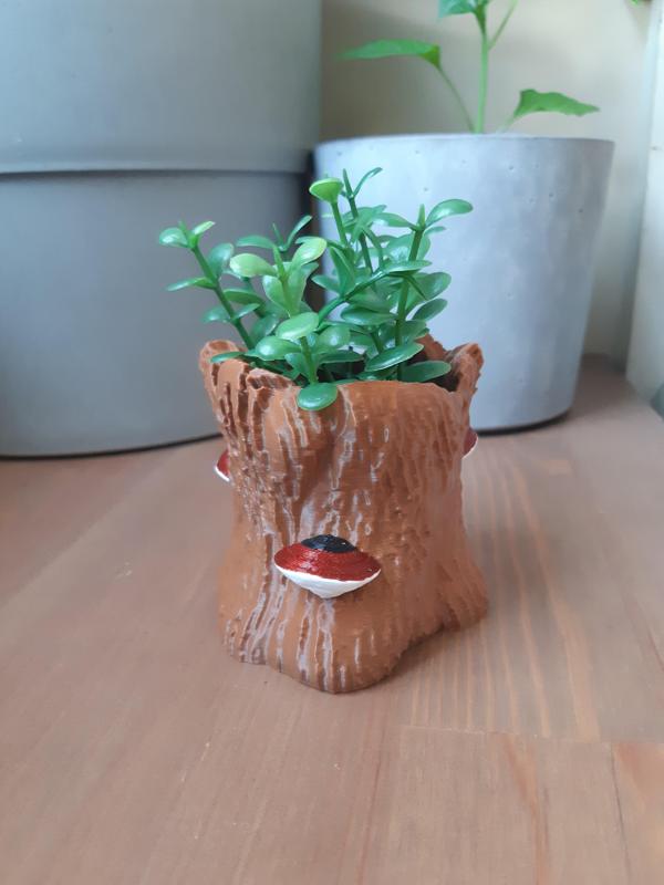 Red Belted Conk on Hollow Stump Planter / Bonus Tealight Holder