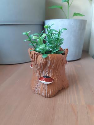 Red Belted Conk on Hollow Stump Planter / Bonus Tealight Holder
