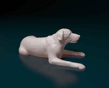 Labrador