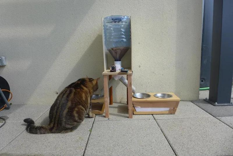 Automatic Kibble Dispenser