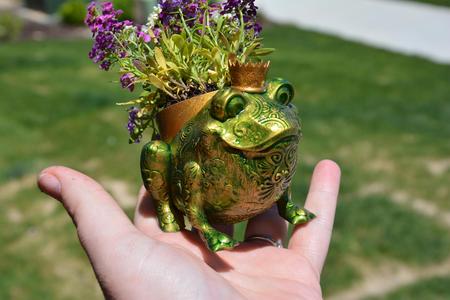Froggy Planter - no supports