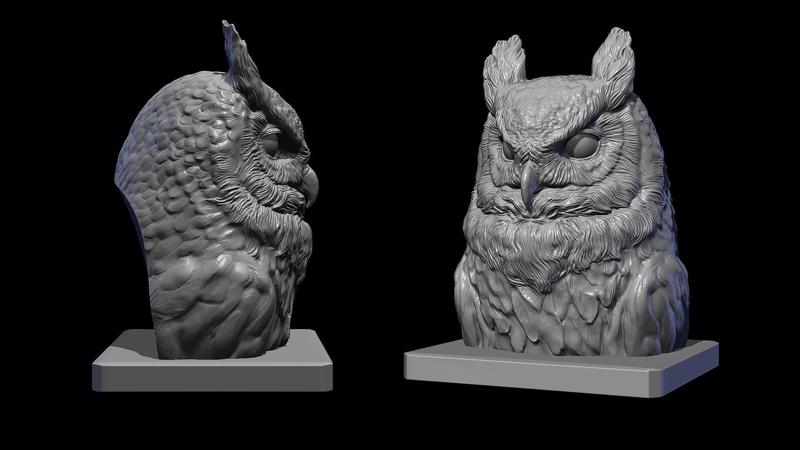 Owl head