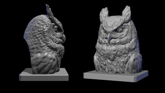 Owl head