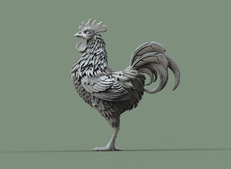 rooster