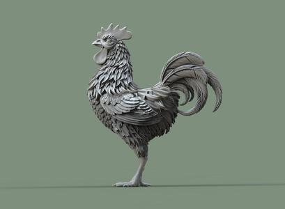 rooster