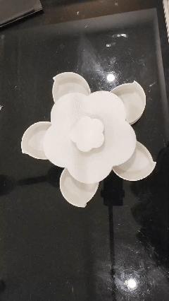 Rotating Petal Secret Box