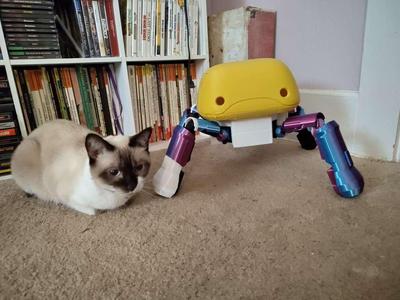 Flycatcher bot from Apocalypse Hotel – Life size