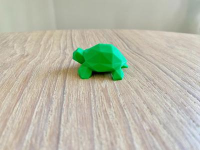 Cute Turtle