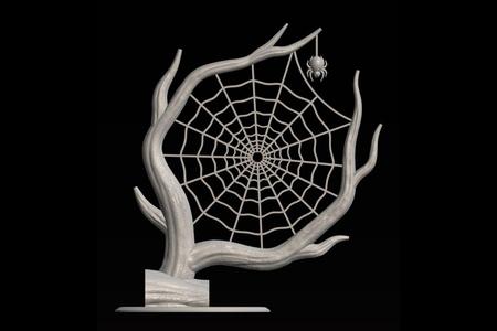 Spiderweb Tree