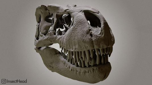 Realistic T-rex skull
